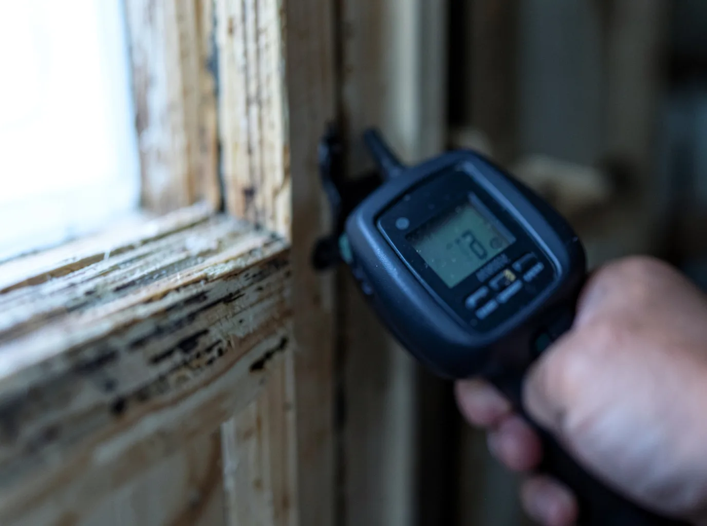 Moisture Inspection And Documentation in Williamsport, PA